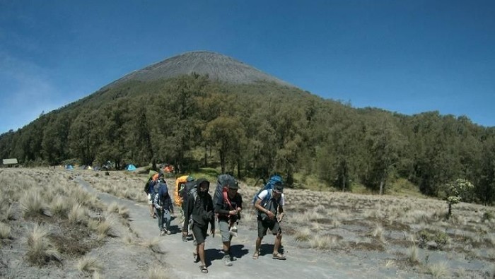 Guide Hiking Gunung Semeru